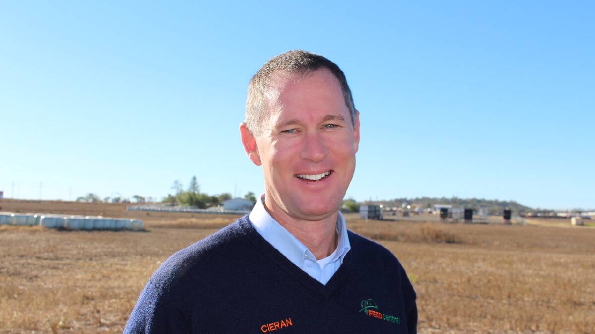 DEMAND DOWN: Cieran Maxwell, Feed Central, says demand for fodder has dropped since the heavy rain in NSW at the end of March.