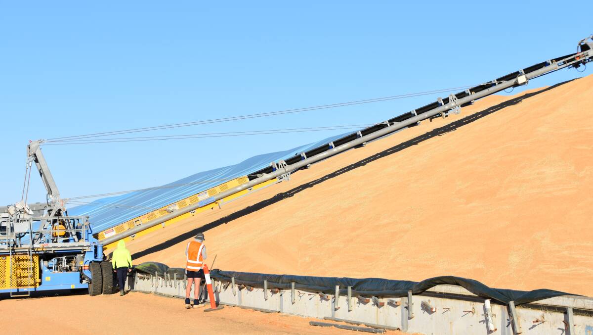 Big harvests in recent years have meant GRDC coffers are full via grower levies. Photo by Gregor Heard.