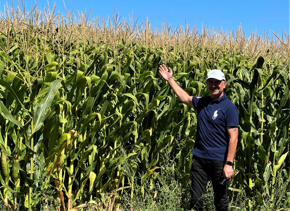FEED AND FUEL: AgBioEn executive director Lubey Lozevski with a maize crop to be converted into food and biofuel.