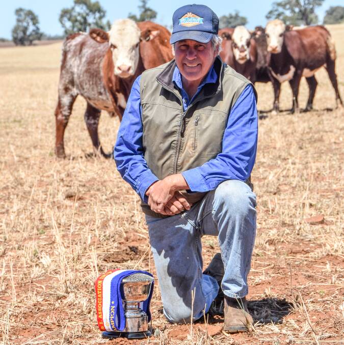 Limousin cross Shorthorn cattle entered by the Carrigan family, Merriwa, were named overall winners of the 2019 Merriwa Show Feedlot Trial. Paddy Carrigan is pictured with the trophy and their cattle. Photo: Kylie Raines.
