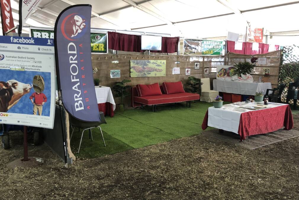 The Australian Braford Society site at Beef '21. This year's site will be interactive with live Braford animals from diverse production systems to be combined with a social hub for members and visitors. Picture by Jill Galloway