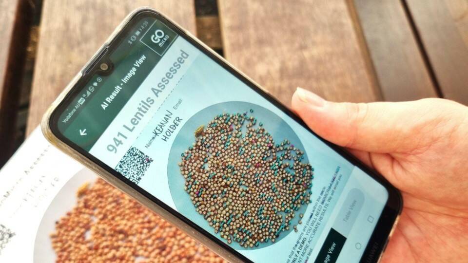 GoMicro's new Grain Analyser app is in testing, but includes crops such as lentils, coffee and corn, as well as wheat. Picture supplied.