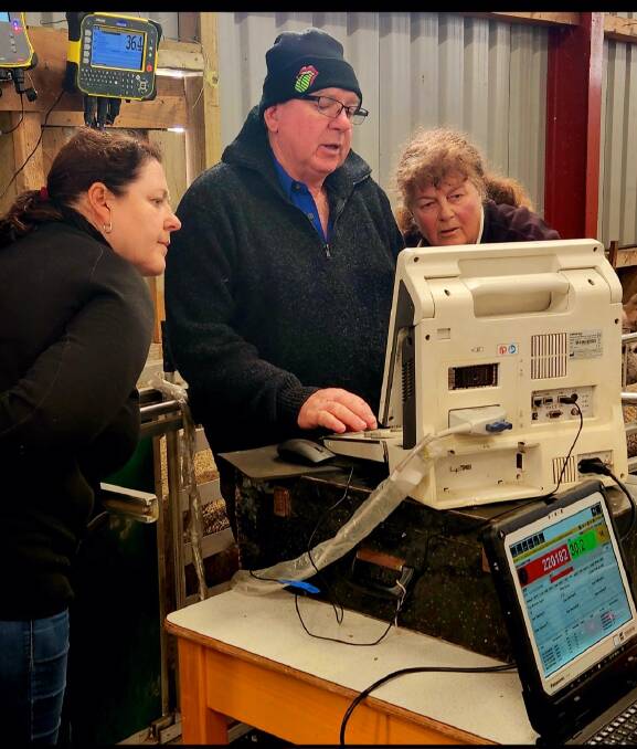 Falkland Islands Department of Agricultures (DoA) Katrina Durham (left) overseeing, Elders stud stock specialist Michael ONeill scanning, with Lucy Ellis, DoA, assisting.