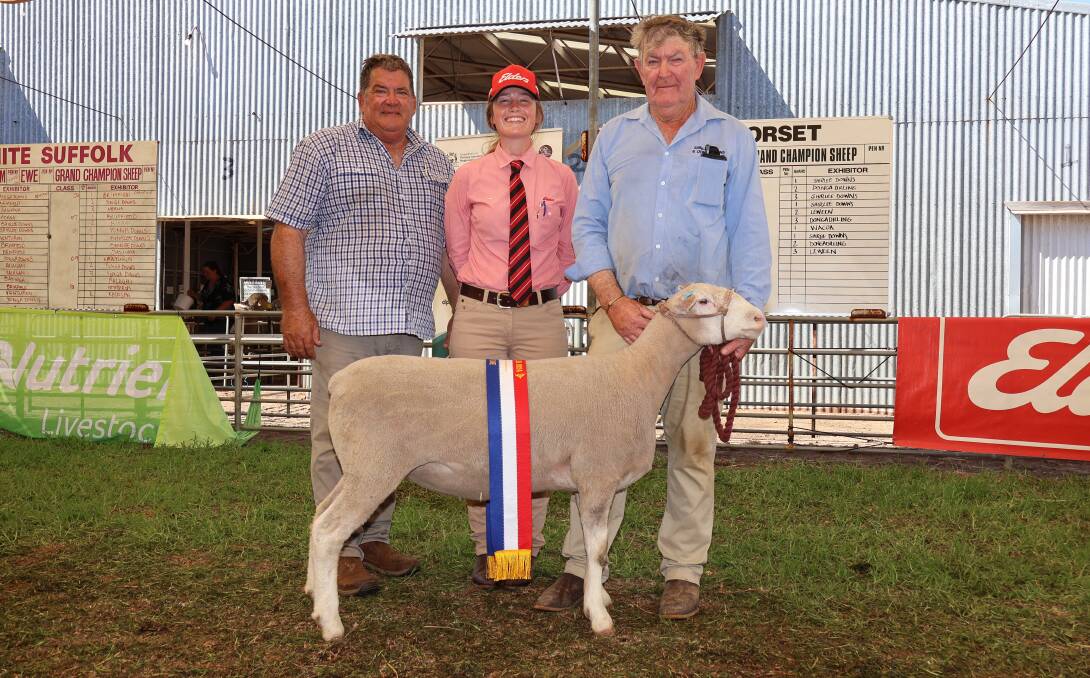 Unigrain British and Australasian breeds competition Wagin Wooloorama Poll Dorset champions 2024