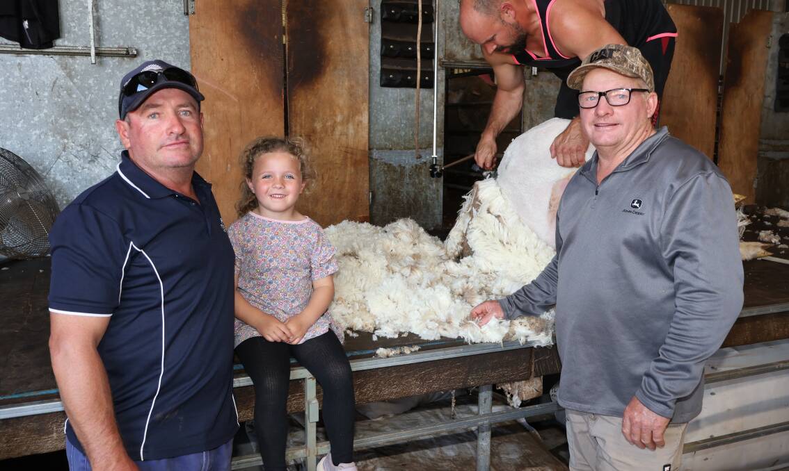 
Regular buyer Paul Wanless, PR Wanless, Muntadgin, with daughter Kaia, 4, and Nick Sparks, D & MA Sparks & Co, Muntadgin, with one of the rams Mr Sparks purchased being shorn, an added service available each year at the Belka Valley sale.
