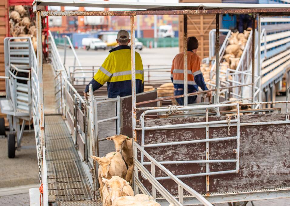 EP3 has the task of putting together an indepth report on how the phase-out of the live sheep export industry will affect the industry.
