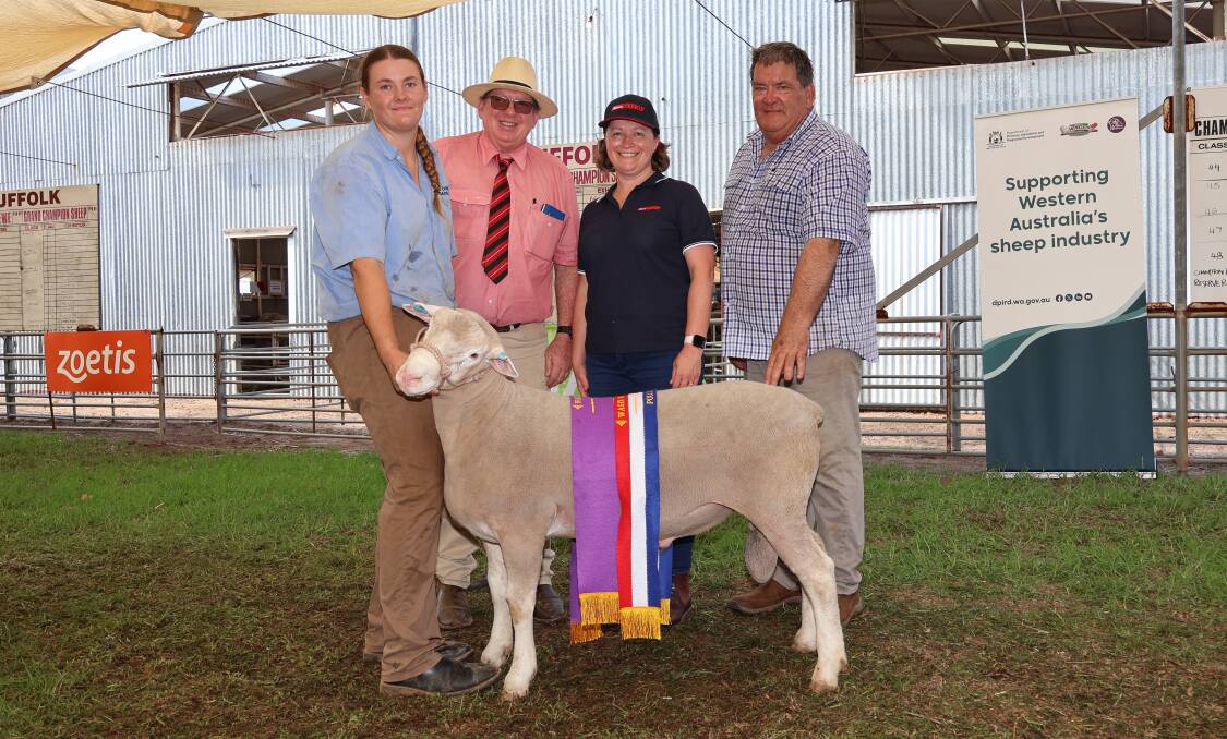 Shirlee Downs studs Zarah Squiers, Quairading, holds the studs grand champion Poll Dorset, the champion Poll Dorset ram, with them are sponsor representatives Elders stud stock specialist Michael O'Neill, Farm Weekly's Linda Sharman and judge Ian Kyle, Ashley Park Poll Dorset, White Suffolk and Southdown studs, Bairnsdale, Victoria.