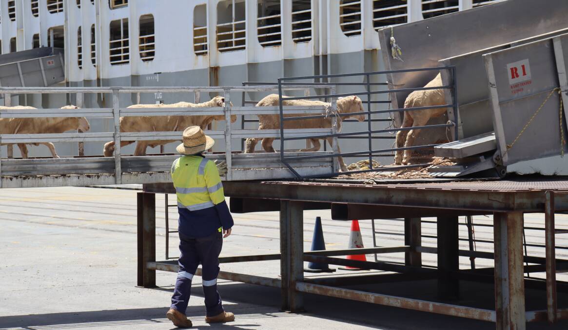 EP3 commissioned to conduct some economic analysis of the live sheep export industry to support the work of the panel.