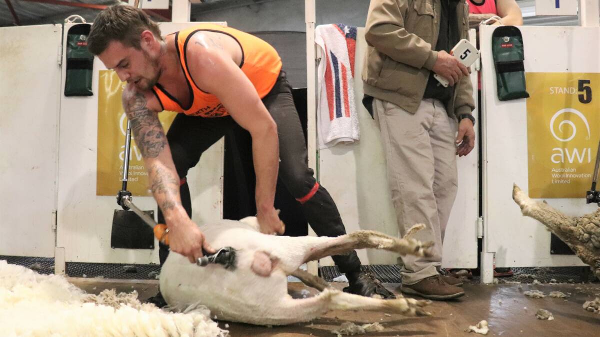 Bruce Rocks Ethan Harder set the eight-hour world Merino lamb shearing record on September, 18, last year at Woolakabin, Williams, with a total of 624 lambs.
