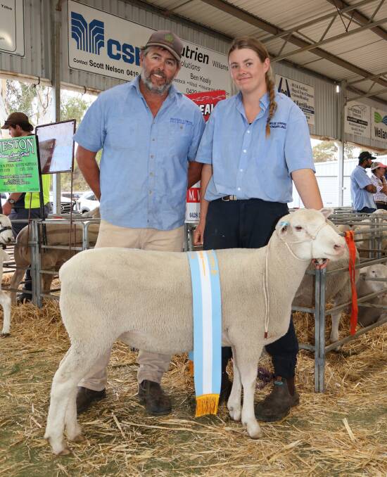 Sascha Squiers and daughter Zarah, with the reserve champion interbreed ewe from their Shirlee Downs Poll Dorset stud, Quairading. The ewe was also sashed champion Poll Dorset ewe.
