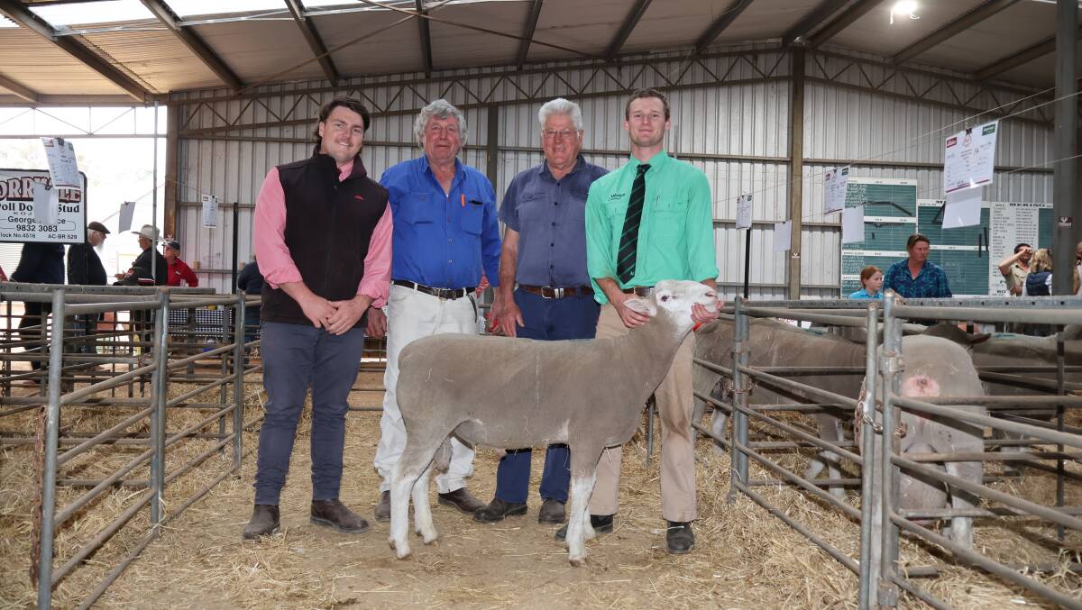 Elders, Kojonup representative Liam Want (left), Glencraobh and Amberley Poll Dorset stud principal Garry Mitchell, buyer, Kevin Broom, Korrinup, Kojonup and Nutrien Livestock, Kojonup representative Lachy OShea with the $2000 top-priced ram from the Glencraobh and Amberley Poll Dorset stud offering purchased by Mr Broom.