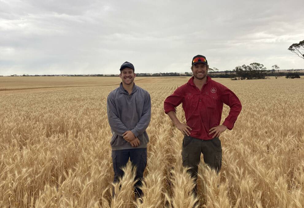 Brothers Fraser (left) and Timm House, Gnowangerup, are flying through their harvest this year.