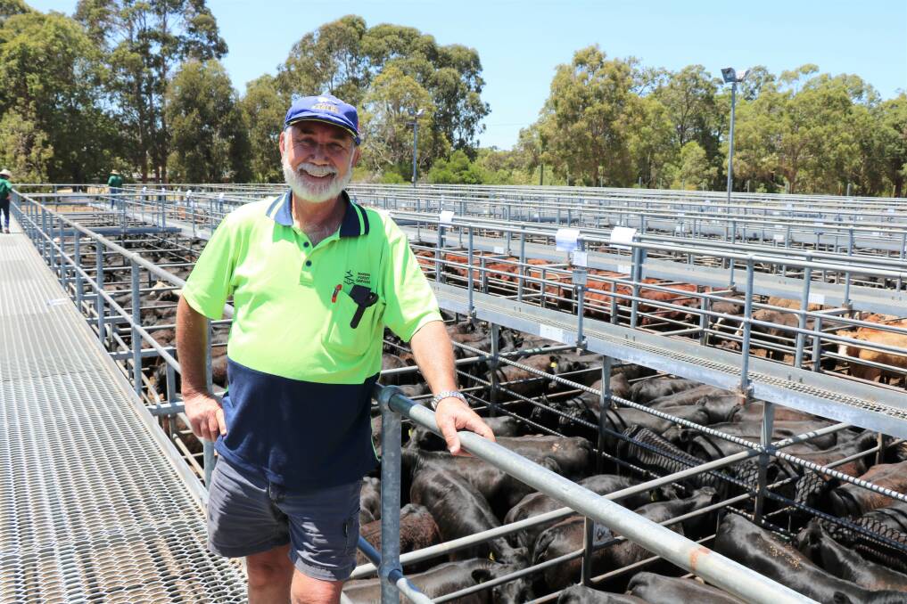 John Giumelli, Northcliffe, was back to buy more weaners at Boyanup, paying $2142 and $2129.