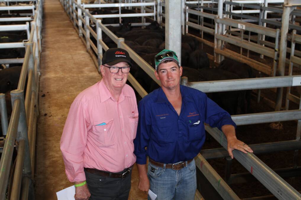 Alan Browning (left), Elders Goldfields with volume vendor Edmund Forrester, Kanandah station, Kalgoorlie/Esperance, at the Elders store cattle sale at the Muchea Livestock Centre last Friday. Kanandah station offered 260 Angus and Murray Grey steers and heifers at the sale.