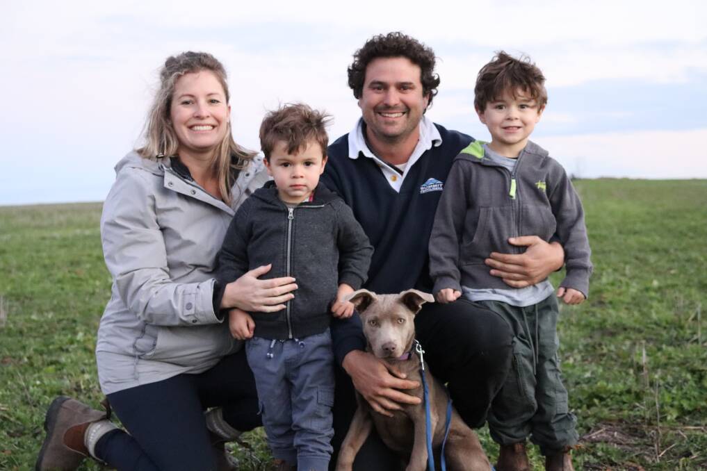 Merino sheep are an integral part of the family enterprise, Springfield Farms, Newdegate, run by Sonia and Russell Harding and their children Max, 2, and Arlo, 4.