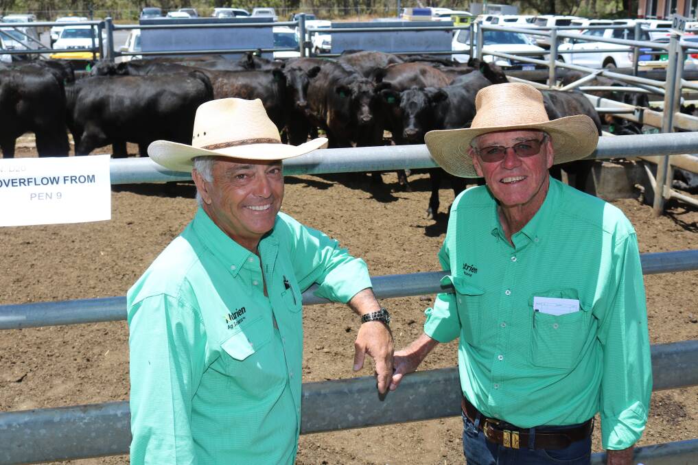 Nutrien Livestock State manager Leon Giglia (left), commended Nutrien Livestock Mt Barker agent and auctioneer Harry Carroll on the quality of the yarding of 2385 Angus weaners.