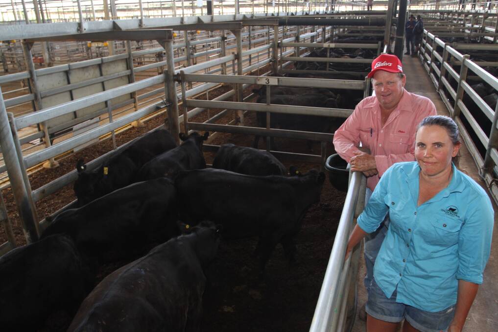 Clint Fletcher, Elders Moora, with sale vendor Penny Greville, Gingin Pastoral, Gingin, with some of Gingin Pastoral's Angus weaner steers that sold to $2328 and 612c/kg.