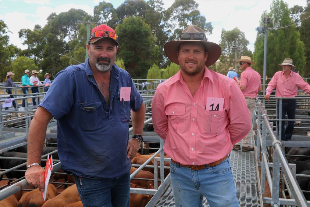 p Cam Beange (left), Busselton, looked over the offering before the sale with Elders, Busselton representative Jacques Martinson.