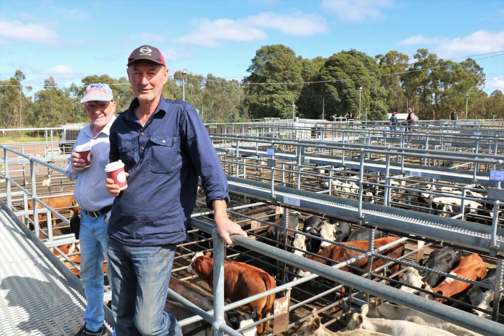 Vendor David Graham, Collie, (right) brought Mick Taylor with him to the sale where the Graham family sold a pen of steers for $1883.