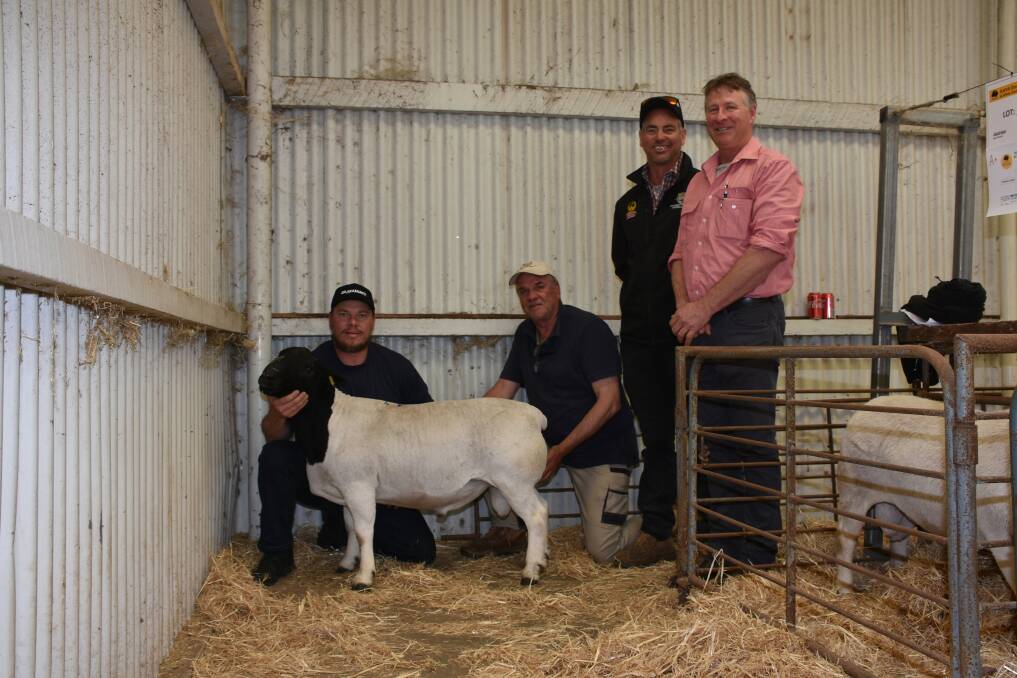 In the Dorper offering the top price was $10,400 for this ram from the Prieska stud, Mt Barker, when it sold to Stade Farming, Katanning. With the ram were Stade Farming livestock manager Riann Liebenberg (left), Prieska principal Marius Loots, buyer David Stade and Elders Narrogin representative Jeff Brown.