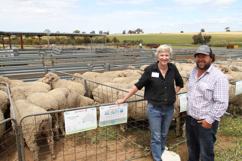 AWI director Michelle Humphries, New South Wales and Claypans stud co-principal Steven Bolt, Corrigin, look over the 2016-drop ewe progeny of sire Claypans Poll 130597 taking part in the MLP Pingelly sire trial.