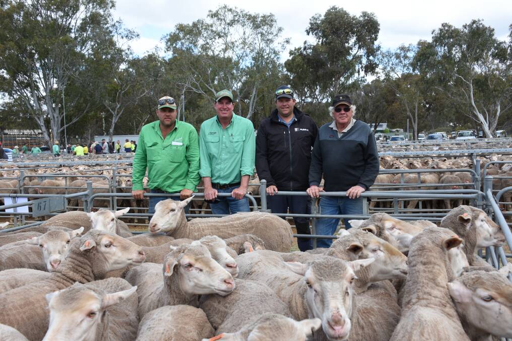 This line of 261 September shorn, Nepowie blood, 3.5yo ewes from Erinbrook Estate, Wickepin, topped the prices in the proven breeding lines at Wickepin, when it sold for $260. With the line of ewes were Nutrien Livestock, Merredin agent and buyer Aaron Caldwell (left), Nutrien Livestock auctioneer Mark Warren and vendors Ryan and Roger Tilbrook.