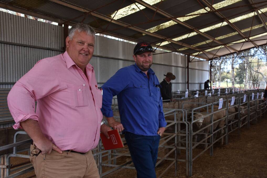 Discussing the line-up of rams on offer at last weeks Glenbrook White Suffolk ram sale at Darkan were Elders, Darkan agent Wayne Peake (left) and Kieran Power, KD Power Pastoral Co, Boyup Brook. In the sale Mr Power purchased 14 rams to a top of $1300 and an average of $1057.