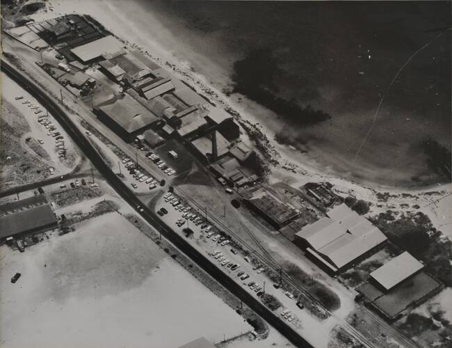 A 1965 aerial view of Anchorage Butchers' export meatworks on the foreshore at Robbs Jetty, Coogee. Cattle from the Kimberley were swum ashore from steamers anchored off the beach in the 1880s until the State Government extended the private jetty in 1894. By 1900 Kimberley 'cattle barons' had started their own meat processing works near the end of the jetty. Various companies operated meatworks at North Coogee beach until 1992, with livestock originally railed through central Perth from the Midland saleyards until Bob Treasure Snr pioneered trucking cattle and sheep from Midland. Picture courtesy Azelia Ley Homestead Museum.