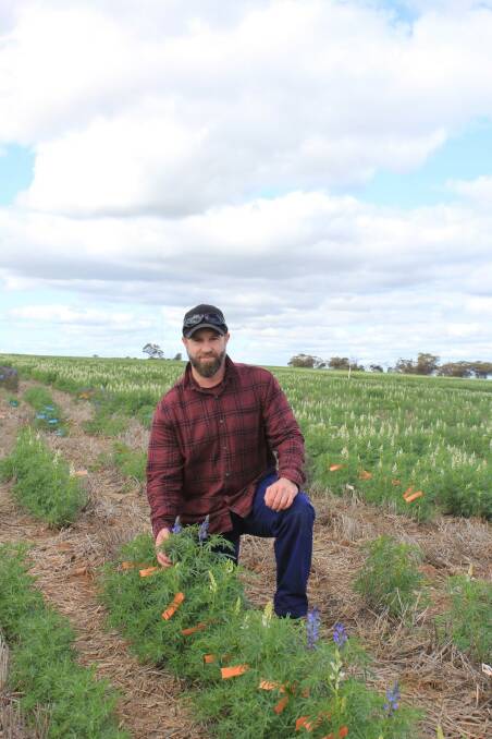Julian van der Zanden, from The University of Western Australia, was awarded an AW Howard Memorial Trust Post-Graduate Research Fellowship for 'breeding sub-clover for greater livestock benefit'. Photo by Renu Saradadevi.