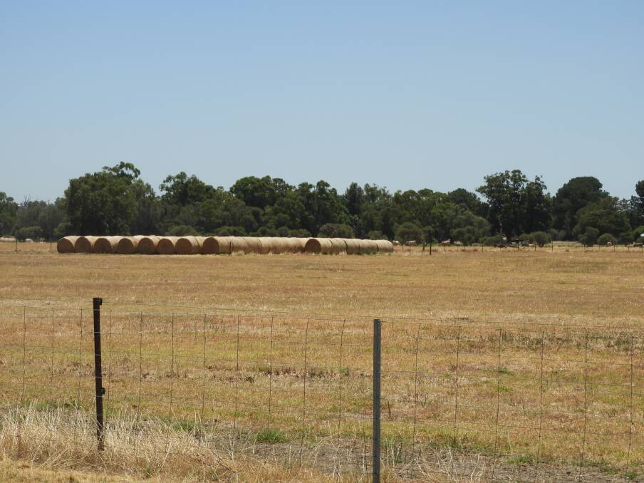 Rural farm on the outskirts of Perth