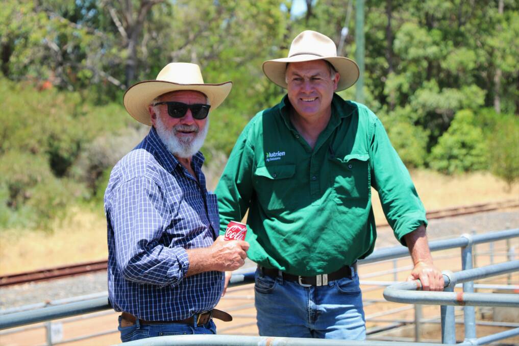 Ted Brockman (left), Capel, caught up Nutrien Livestock, Waroona agent Richard Pollock at the sale. Mr Pollock once again took the volume purchaser mantle.