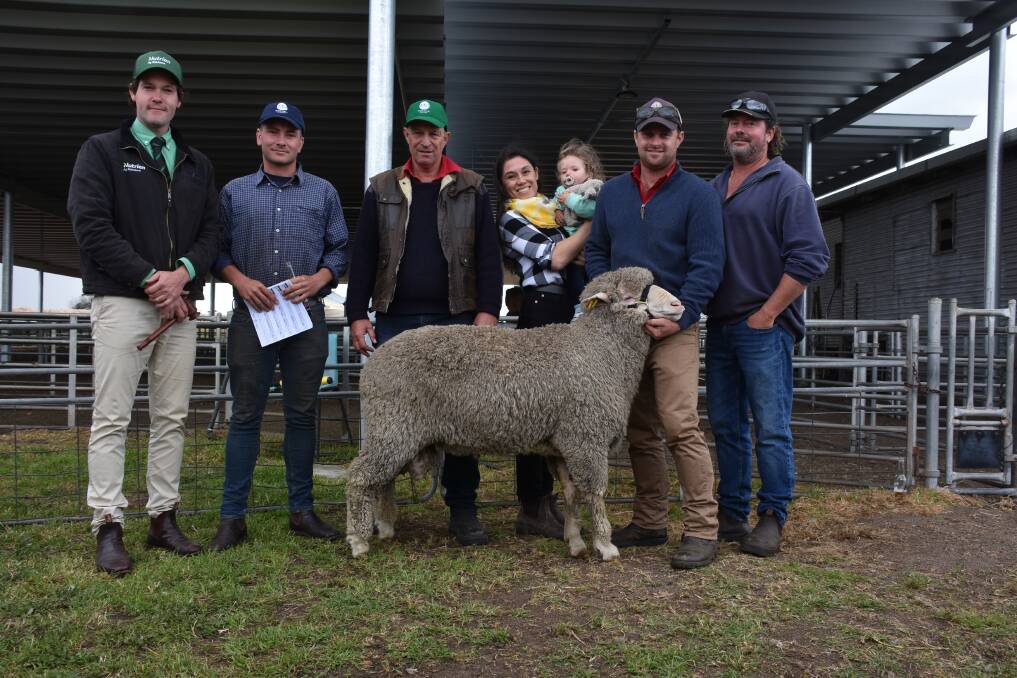 Prices hit a high of $14,000 at last weeks Moojepin Merinos on-property ram sale at Kataning for this ram held by Moojepin co-principal Hamish Thompson when it sold to the Page family, KJ & RJ Page, Pingelly. With Mr Thompson were Nutrien Livestock auctioneer Michael Altus (left), Brock Page, Moojepin co-principal David Thompson and buyers Paula Morales holding daughter Elena and Kane Page.