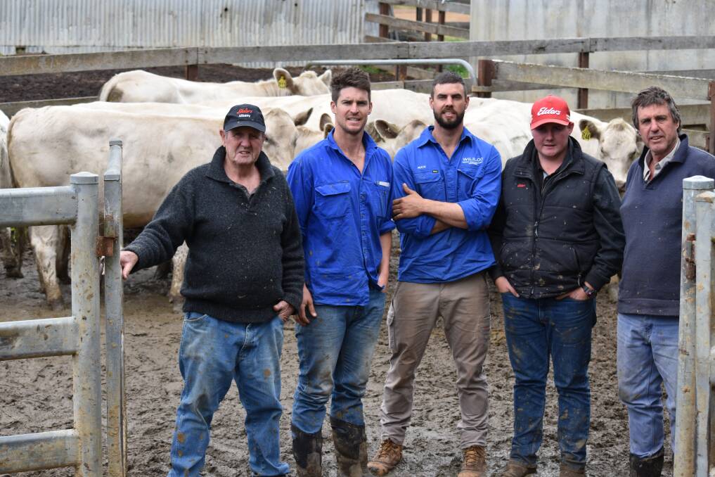 The Tullibardine Murray Grey breeding herd was sold to the Southend stud, Katanning, last month. Going through the females at pregnancy scanning were Tullibardine stud principal Alastair Murray (left), Albany, Southend stud's Kurt and Rick Wise, Katanning, Elders, Donnybrook representative Pearce Watling and Clinton Wise, Southend.
