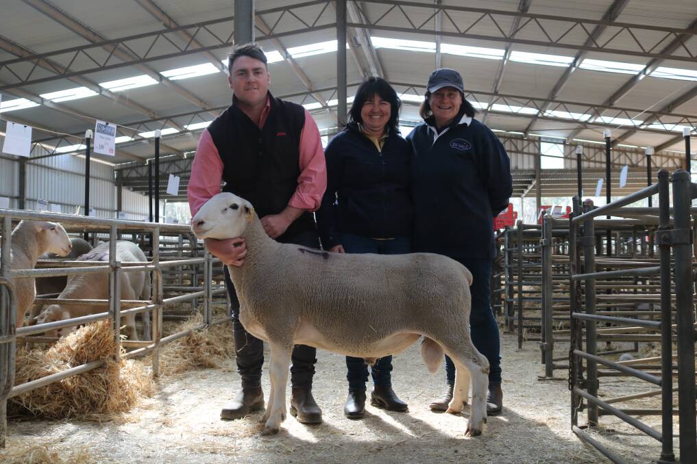 Elders territory sales manager Kojonup, Liam Want, Royston White Suffolk stud principal, Sandy Forbes (centre), Napier and Ida Vale stud co-principal, Tamesha Gardner, with the overall top-priced ram and top priced White Suffolk sire, that Ms Forbes purchased for $5100.