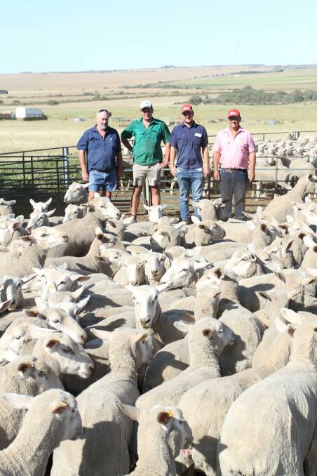 Riverbend Border Leicester and Poll Dorset stud principal Chris Patmore (left), volume ewe buyers Fred and Will Roe, Benalong Grazing, Gingin and Elders Mingenew agent Ross Tyndale-Powell with some of the 700 first cross Border Leicester ewes purchased by Benalong Grazing for $180 and $184 at the 22nd annual Riverbend on-property ram and ewe sale at Eneabba last week.