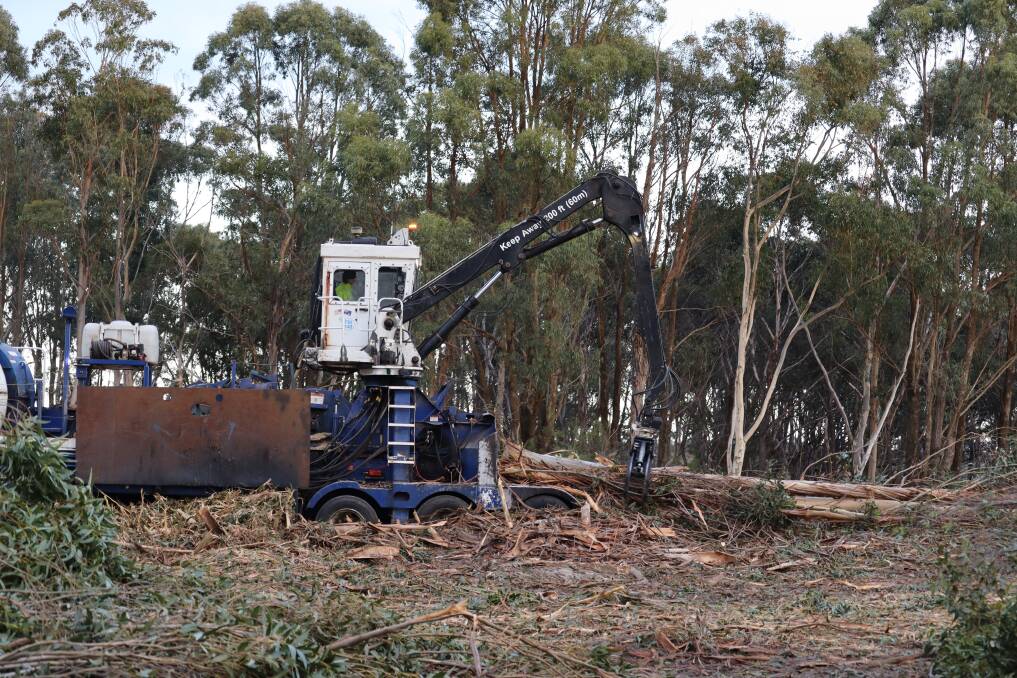 In 1999, the company Integrated Tree Cropping (ITC) was looking for land to lease for blue gum plantations under a management investment scheme. The company targeted the Esperance area given the high average rainfall of 500mm.