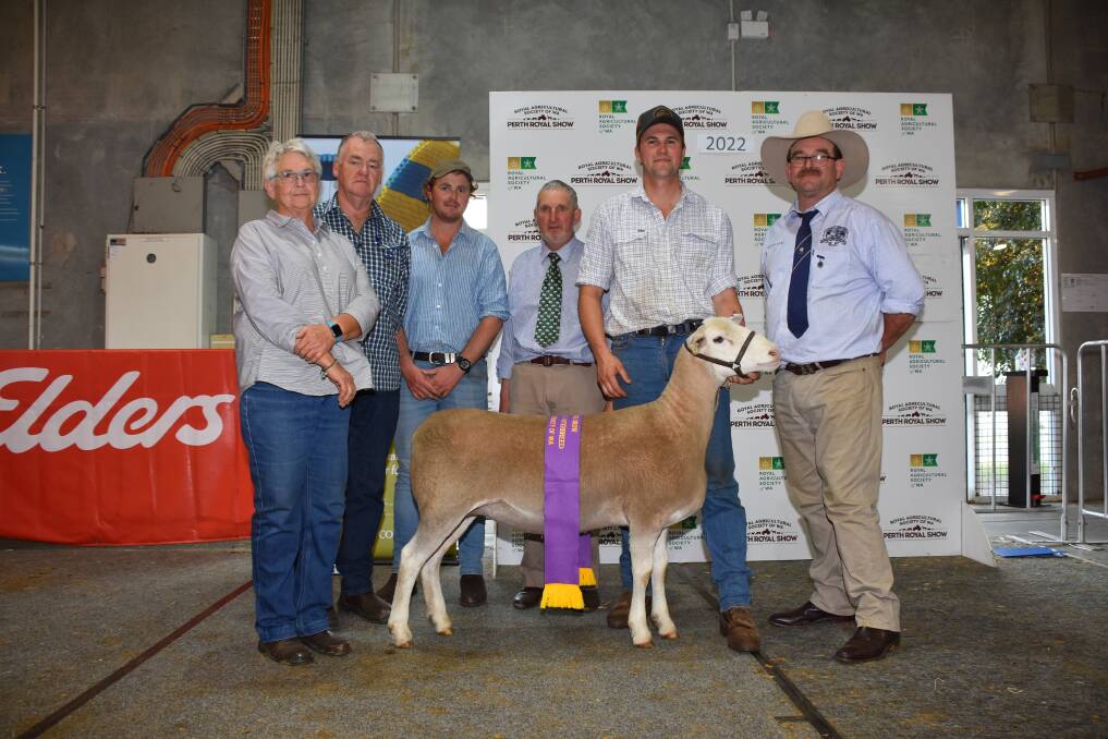 The Yonga Downs White Suffolk stud, Gnowangerup, exhibited the interbreed grand champion meat breed ewe held by stud principal Brenton Addis. With Mr Addis were judges Pam Hinkley (left), Willyung, Adrian Veitch, Narrogin, Rivers Hyde, Ongerup, Brenton Heazlewood, Whitemore, Tasmania and Gordon Close, Finley, NSW.