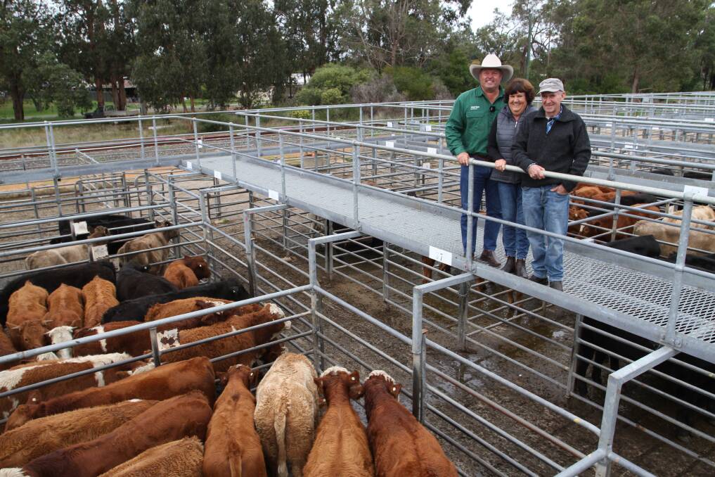 Nutrien Livestock, auctioneer and Capel agent Chris Waddingham (left), with sale vendors Loreen and Tony Kitchen, Bandeeka Simmental and Red Angus studs, Elgin, who sold Simmental steers and Red Angus heifers to 560c/kg and $1890 at the sale.