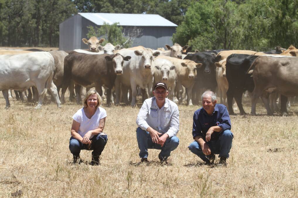 S & C Livestock manager Phil Petricevich (centre) with vendors Kathy and Graham Elliott, GJ Elliott, North Dandalup and a mob of the Elliotts' cows and calves. The Elliott family will offer 80 mixed sex Charolais cross calves aged eight to nine months at the sale.