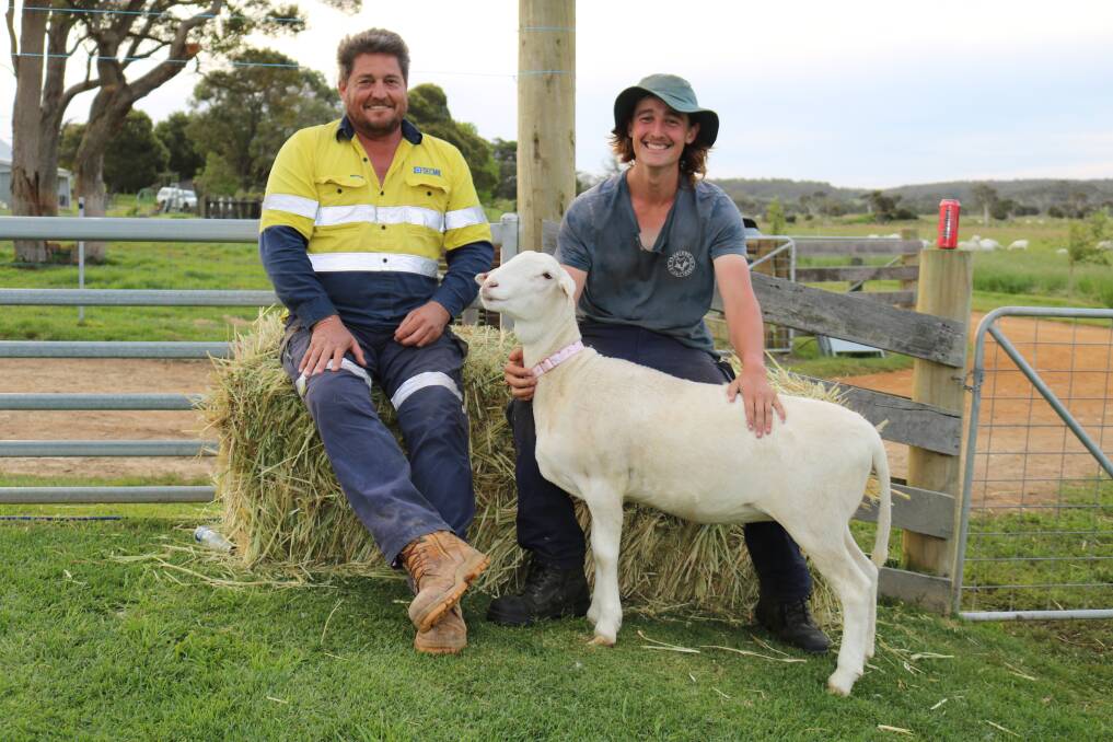 Shane Sales (left), Albany and his son Zac Sales, who works at Garnett SheepMaster stud, Elleker, with seven month old SheepMaster ewe Penny, a triplet which was hand raised after being rescued from floodwaters.