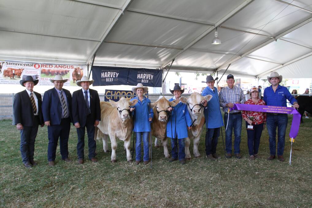 The 2022 Perth Royal Show interbreed breeders group of three was exhibited by the Venturon Charolais stud, Boyup Brook. With the group were judges Glenn Trout (left), Moorunga Angus stud, Mornington Peninsula, Victoria, Brendan Scheiwe, Brendale Charolais and Toblo Droughtmaster stud, Tallagalla, Queensland and Rhett Mobbs, Gowrie Simmental stud, Bell, Queensland, handlers Amanda Cavanagh and Bron McNair, Harris, Andrew and Anne Thompson, Venturon Charolais stud and Will Alston representing award sponsor Harvey Beef.