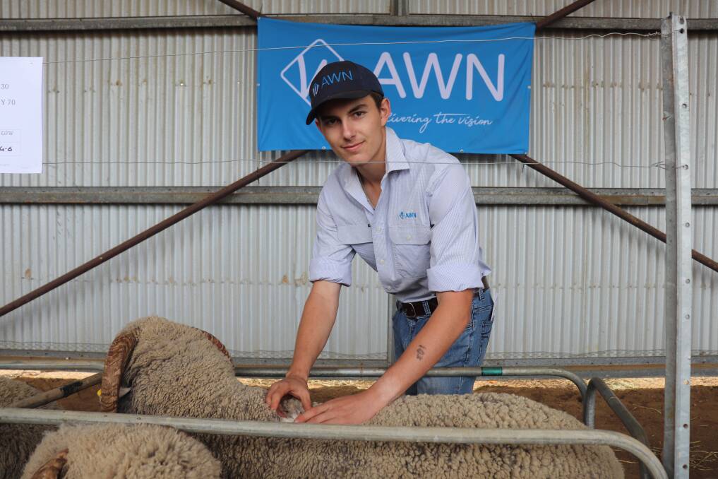 Australian Wool Network trainee Josh Harley at a recent ram sale. He plans to start as a "stockie" and work up to auctioneer while putting together his own sheep enterprise.