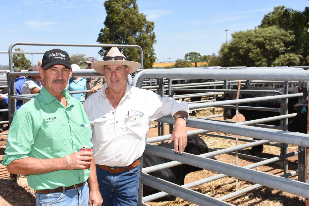 Nutrien Livestock Gingin agent Greg Neaves (left) with volume buyer at the Ardcairnie bull sale Mike Stanton, Cullalla Feedlot and International Livestock Exports, Gingin, who purchased eight bulls costing to $14,000 at a $9000 average.
