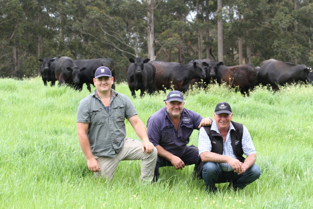 With some of the Radomiljac family's Angus cows and calves were vendors Jordan (left) and Dave Radomiljac, DW & MA Radomiljac, Pemberton and Colin Thexton. The Radomiljacs will offer 60 mixed sex Angus weaners aged nine to 10 months.