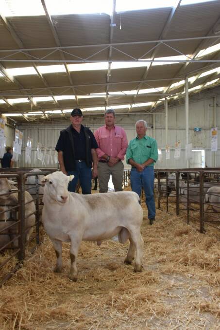 Prices hit a high of $12,300 for this Kaya White Dorper ram at the Kaya Dorper and White Dorper annual production sale at Narrogin last week when it sold to Cherilyn Lowe, Nomuula stud, Moonbi, New South Wales, who purchased through AuctionsPlus. With the ram were Kaya co-principal Adrian Veitch (left), Elders, Narrogin agent Paul Keppel and Nutrien Livestock, Narrogin agent Ashley Lock.