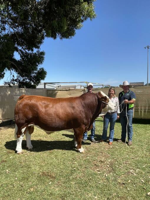 With the $23,000 top-priced bull at Tuesday's Nutrien Livestock Great Southern Blue Ribbon Female and All Breeds Bull Sale at Mt Barker sold by the WA College of Agriculture, Denmark's Inlet View stud to the Greendale Simmental stud, Esperance, were the college's farm manager Kevin Marshall (left), principal Rebecca Kirkwood and beef technical officer Brad Seib.