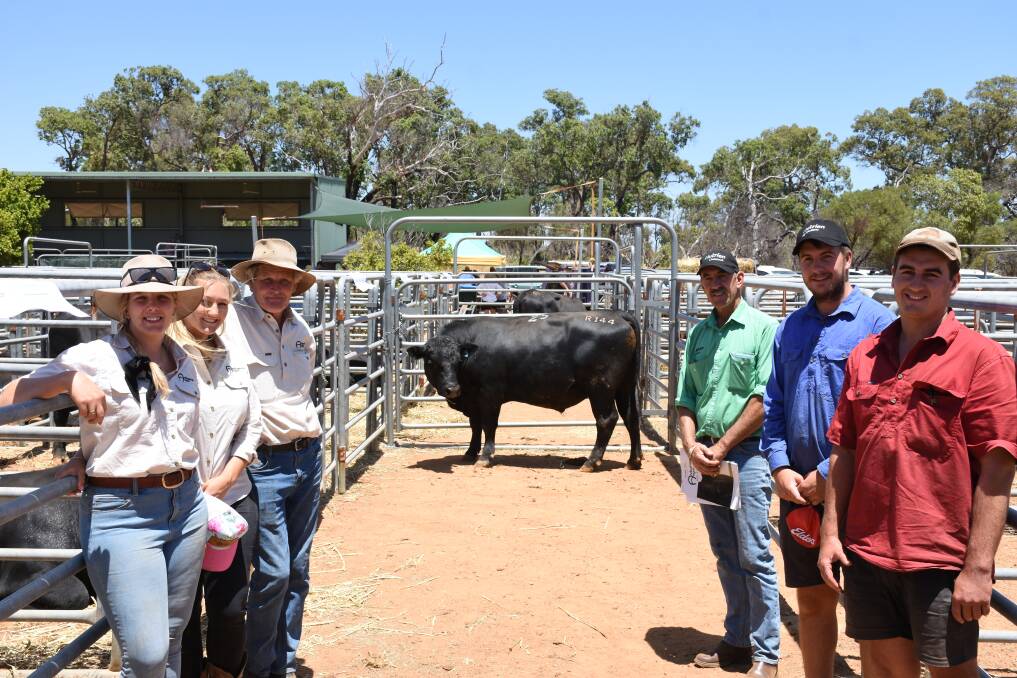 With the $17,500 equal top-priced bull Ardcairnie Rowdy R144 (by Millah Murrah Nugget N266) purchased by long-time Ardcairnie buyers Benalong Grazing Company, Gingin, were Ardcairnie stud connections Emmie Wright (left), Hayley and Frank Dewar, Guilderton, Nutrien Livestock Gingin agent Greg Neaves and buyers Will and Lewis Roe, Benalong Grazing.