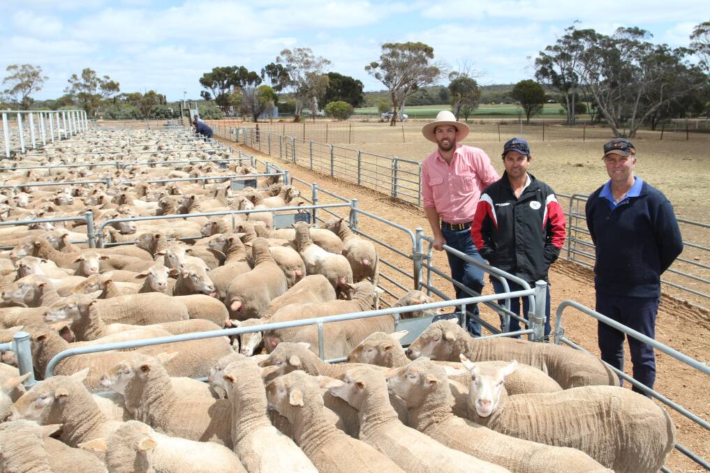 A draft of 216 September shorn Ronern blood 3.5-4.5yo ewes offered by CH & DO Spurgeon, Kulin, sold for the Corrigin leg's $252 second top price. With the ewes were sale co-ordinator and auctioneer Steele Hathway (left), Elders Corrigin, buyer Jay Robertson, CJ & EJ Robertson, Kulin and vendor Charlie Spurgeon.