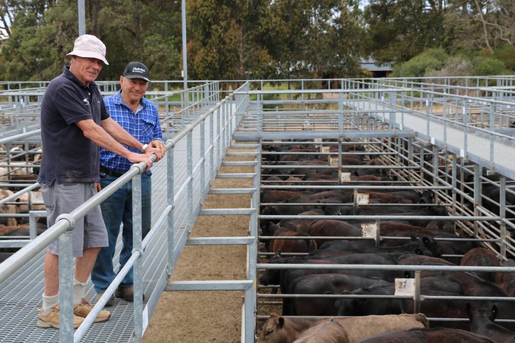 John Testrow (left), Meat & Livestock Australia Reporting Service, checked the cattle with vendor Ralph Maiolo, Coolup, who sold calves at the sale to $2284.