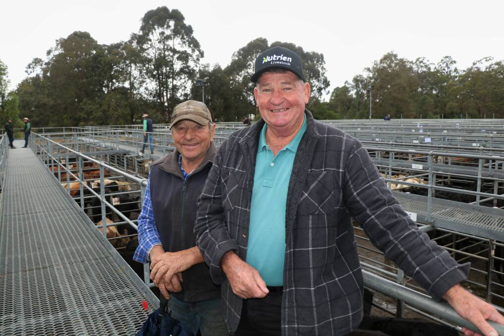 Ralph Miaolo (left), Coolup, offered a few cattle and was pictured with Dave Hollins, Boyanup, before the sale.